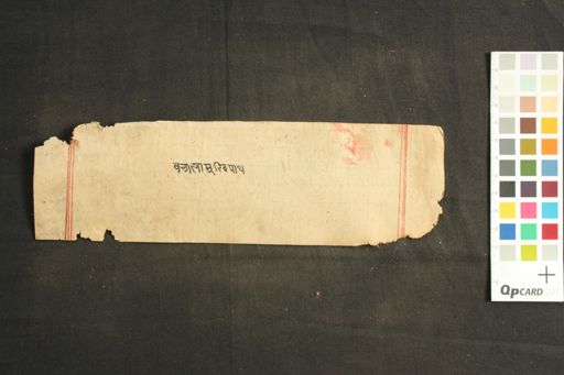 Bagalāmukhi Stotram manuscript preview