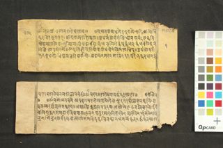 Caṇḍamahāroṣaṇa-balināma-dhāraṇī folio 2