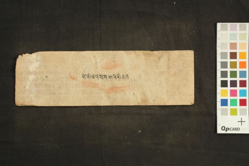 Śanicaranāma-dhāraṇī manuscript preview