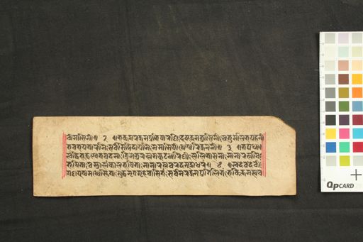 Chāskamini Eka Viṃśati Stotra manuscript preview