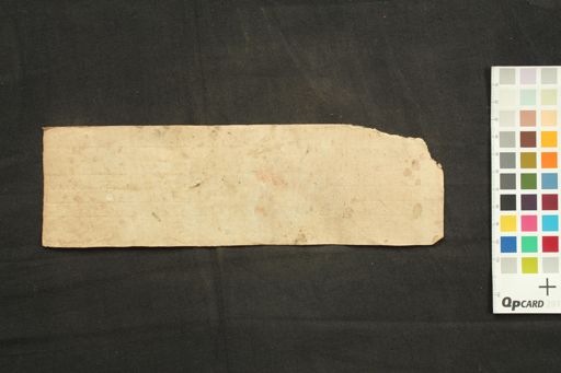 Tārā Śaraṇa Stotra manuscript preview