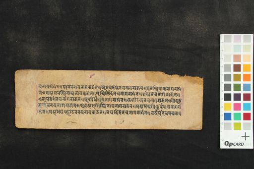 Mahāmegha samādhi Varṣā Paṇa manuscript preview