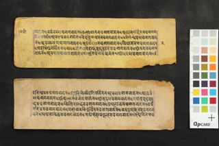 Mahāmegha samādhi Varṣā Paṇa folio 2