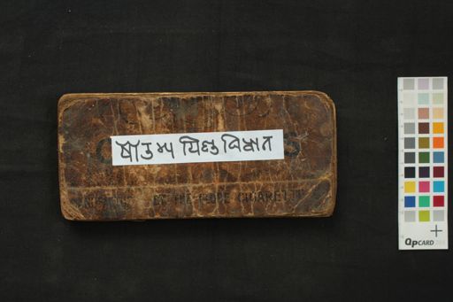 Ṣoḍaśa Piṇḍa Vidhāna manuscript preview