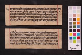 Ᾱrya amoghapāśanāma hṛdayam mahāyānasūtram folio 3