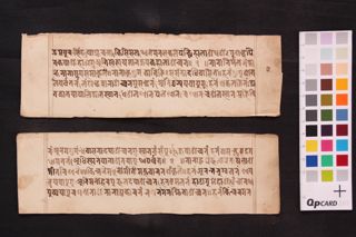 Ᾱryatārābhaṭṭārikāyā nāmāṣṭottaraśatakam folio 3