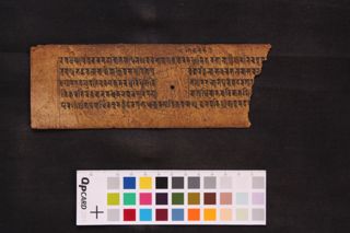 Ᾱryamahāsāhasraya marddanī nāma Mahāyānasūtram (24b) folio 3