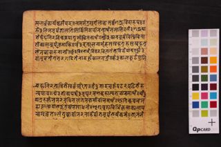 Ugracaṇḍeśvarītantre Mohinīśvarasaṃvāda folio 3