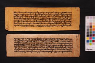 Rudrayāmale Śivapārvatisaṃvāde Śyāvarādhikāramantra śāstra vijňānadīpaka folio 3