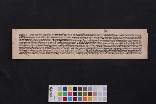 Viśeṣavyāptidīdhiti manuscript preview