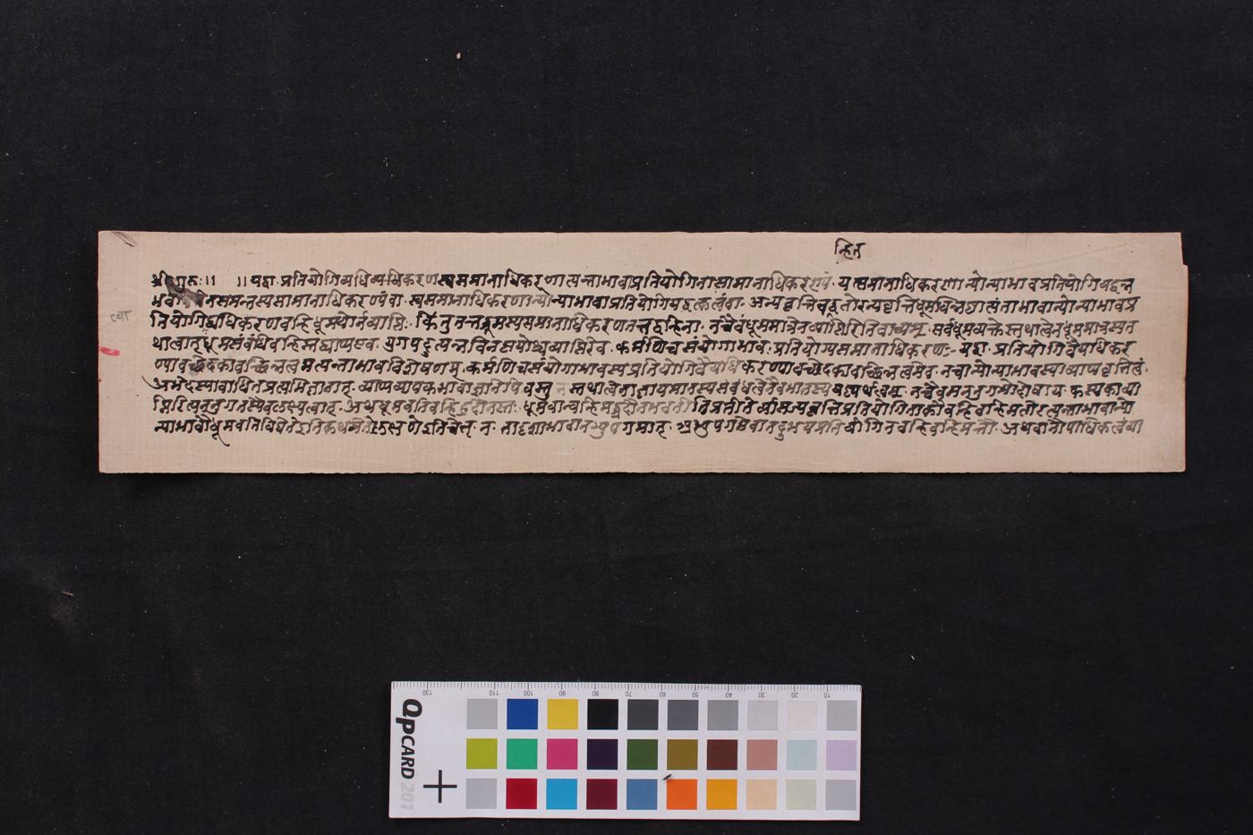 Viśeṣavyāptidīdhiti manuscript preview
