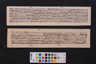 Viśeṣavyāptidīdhiti folio 3