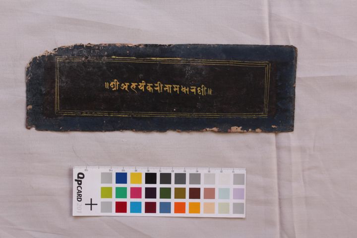 Śrī Abhayaṃkarīnāma Dhāraṇī manuscript preview