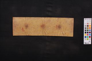 Aṣṭasāhasrikā Prajñāpāramitā Sūtra folio 3