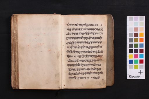 Aṣṭamaṃgalāṣṭaka manuscript preview