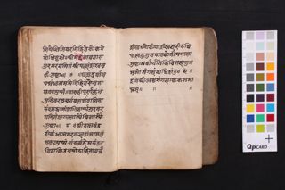 Aṣṭamaṃgalāṣṭaka folio 3