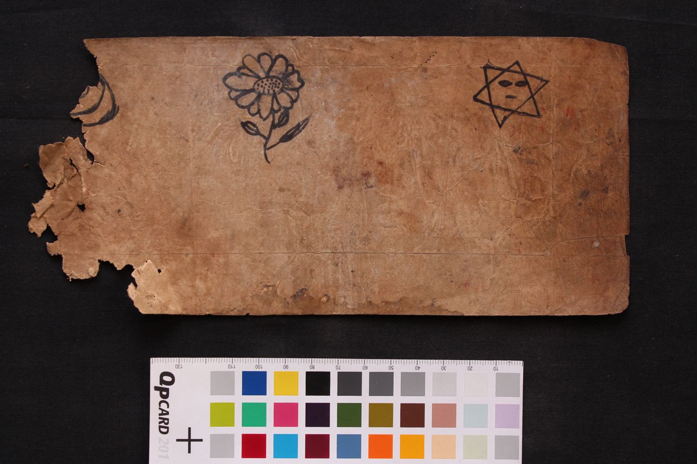 Buddhi Cāņakya manuscript preview