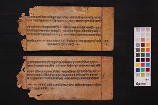 Buddhi Cāņakya folio 3