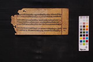 Buddhi Cāņakya folio 4
