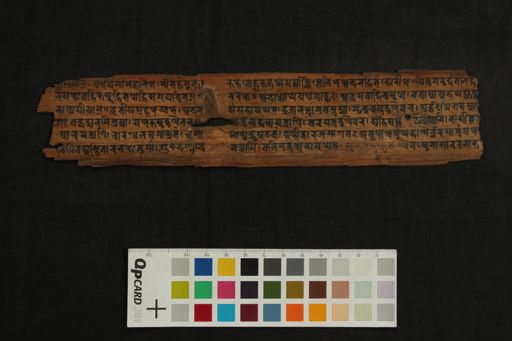 Ayurveda and Iconography manuscript preview