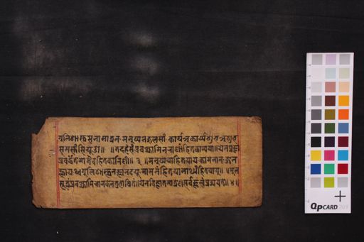 Cāṇakya Sāra Saṃgraha manuscript preview