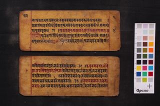 Cāṇakya Sāra Saṃgraha folio 4