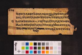 Tārā Pūjā folio 4