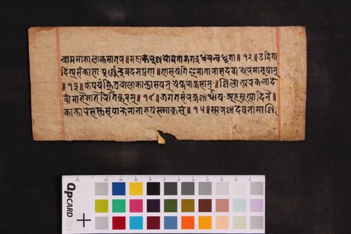 Aṣtottara śata nāma stotra(Tārāśata) manuscript preview