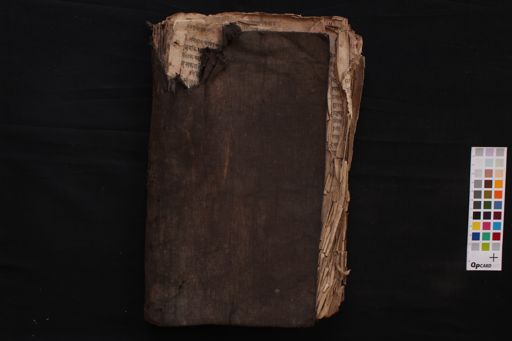 Guṇakāraṇḍavyūha manuscript preview
