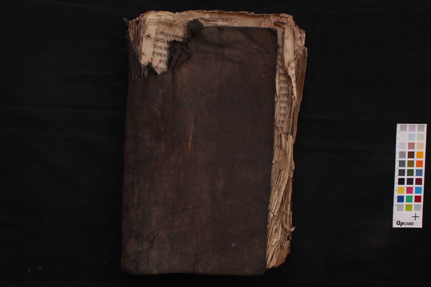 Guṇakāraṇḍavyūha manuscript preview