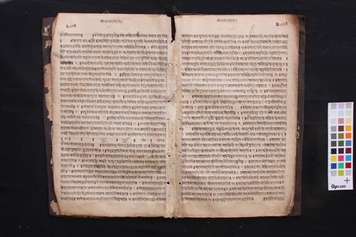 Nāmasaṃgīti manuscript preview