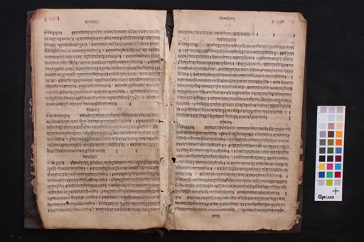 Ārya Aparimitānāmadhāraṇī manuscript preview