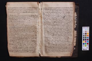 Lalitavistara folio 3