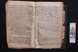 Lalitavistara folio 4