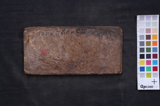 Unknown Buddhist text manuscript preview