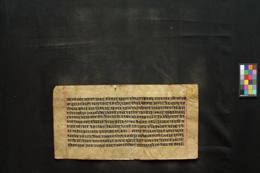 Dharmapālarāja-kathā manuscript preview