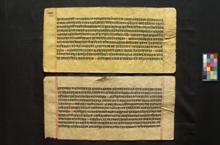 Śṛṅgabhērī-avadāna folio 3