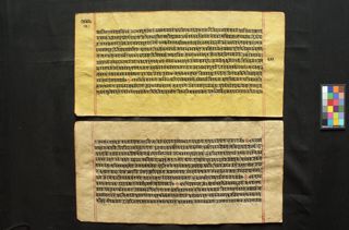 Viriñci-Nārāyaṇa-avatāra folio 3
