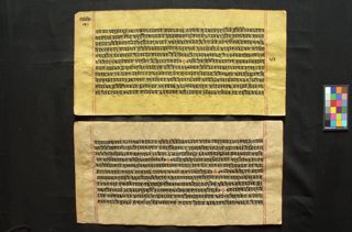 Viriñci-Nārāyaṇa-avatāra folio 4