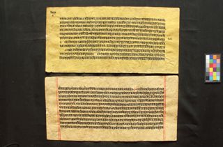 Vicitrakarṇikāvadāna folio 3