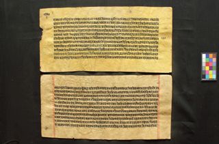 Vicitrakarṇikāvadāna folio 3