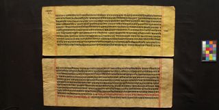 Vicitrakarṇikāvadāna folio 3