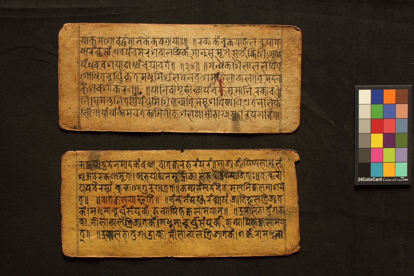 Cikitsā manuscript preview