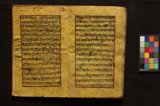 Vaidyajīvana folio 3