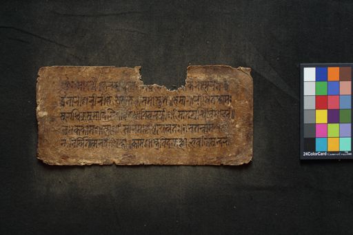Kāmaśāstra manuscript preview