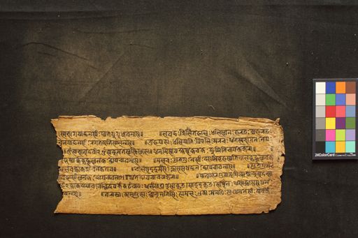 Āyurveda (Cikitsā) manuscript preview