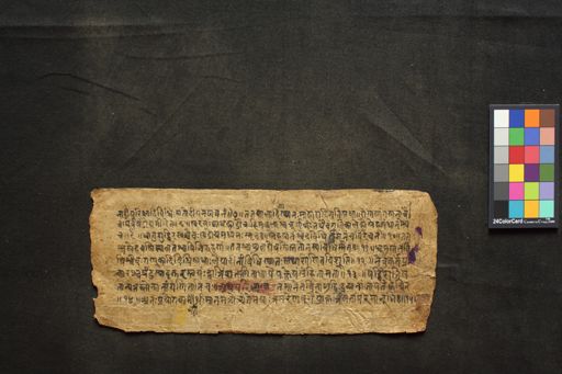 Śārṅgadhara Saṃhitā manuscript preview