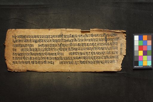 Āyurveda (Cikitsā and Nidāna) manuscript preview
