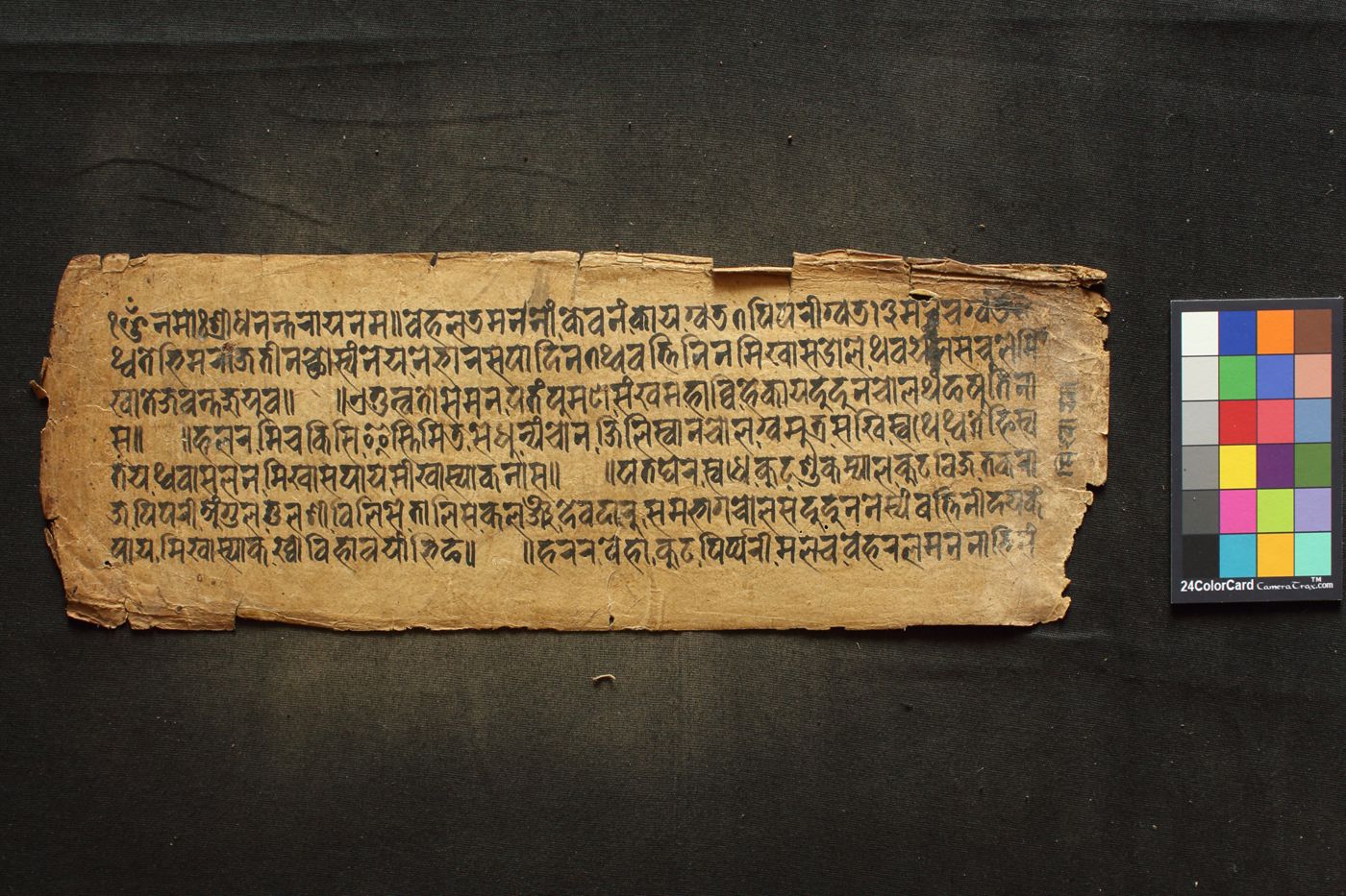 Āyurveda (Cikitsā and Nidāna) manuscript preview