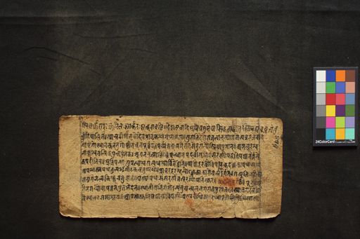 Amarakośa manuscript preview
